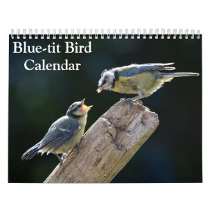 Blue-Tit Bird 2026 kalender