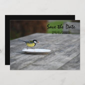 Blue Tit Bird Feed Opslaan van de datum uitnodigin Save The Date (Voorkant / Achterkant)