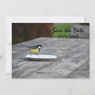 Blue Tit Bird Feed Opslaan van de datum uitnodigin Save The Date