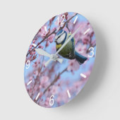 Blue Tit Bird in Pink Japanse Cherry Blossom Ronde Klok (Hoek)