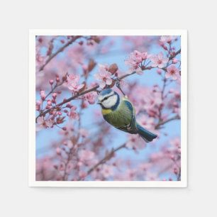 Blue Tit Bird in Pink Japanse Cherry Blossom Servet