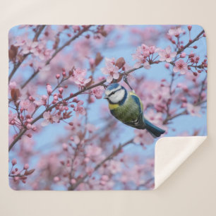 Blue Tit Bird in Pink Japanse Cherry Blossom Sherpa Deken