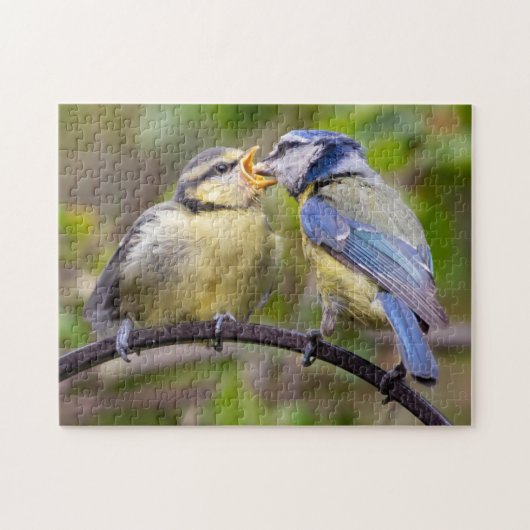 Blue Tit Feeding Jigsaw Puzzle (Horizontal)