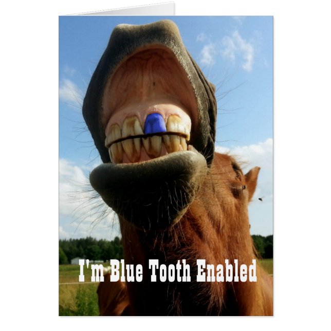 Blue Tooth Enabled Horse (Voorkant)