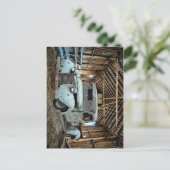  Blue Truck Rustic Barn Briefkaart (Staand voorkant)