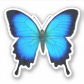 Blue Ulysses Swallowtail Butterfly Contour Sticker (Voorkant)