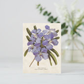 Blue Vanda Orchid Botanical Briefkaart (Staand voorkant)