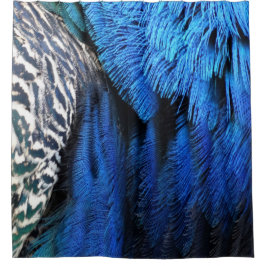Blue Velvet Peacock Feathers Douchegordijn