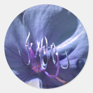 Blue Violet bruiloft envelop afdichting Sticker