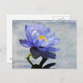 Blue Water Lily briefkaart (Voorkant / Achterkant)