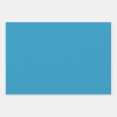 Blue Waterverf Baby Elephant Wrapping Paper (Voorkant 3)