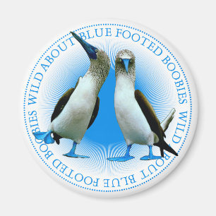 Blue Webbed Foot Birds Galapagos Islands Souvenir Magneet