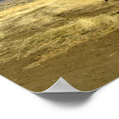 Blue Weimaraner Suprise Poster (Hoek)