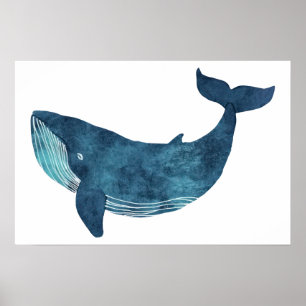 Blue Whale Illustratie Klein Poster
