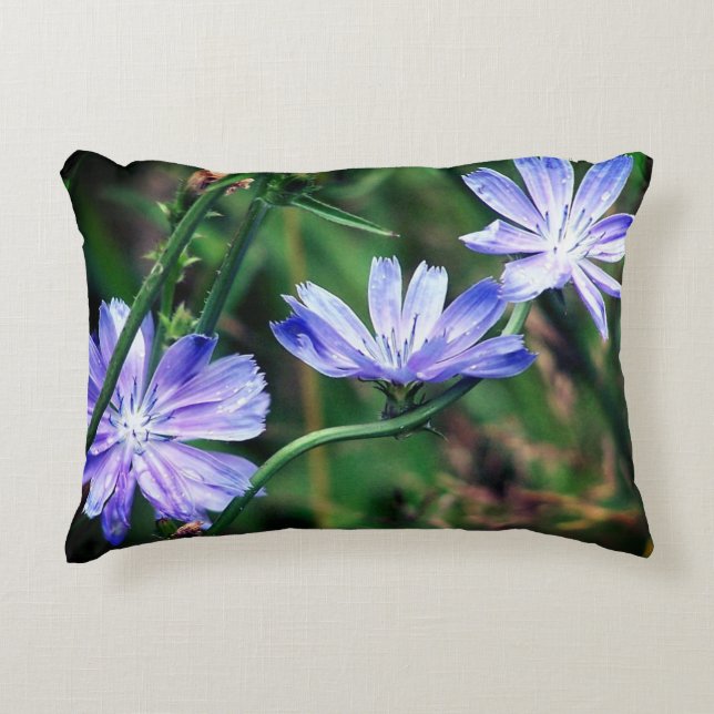 Blue Wild Chicory Flower Trio Accent Kussen (Voorkant)