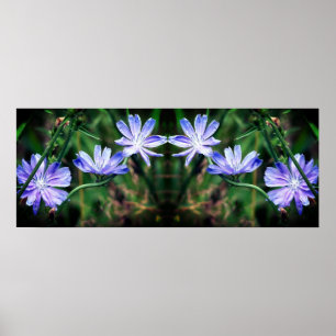 Blue Wild Chicory Flowers Spiegel Abstract Poster