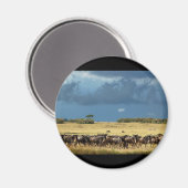 Blue Wildebeest (GNU) Masai Mara Kenia magneten (Voorkant / Achterkant)