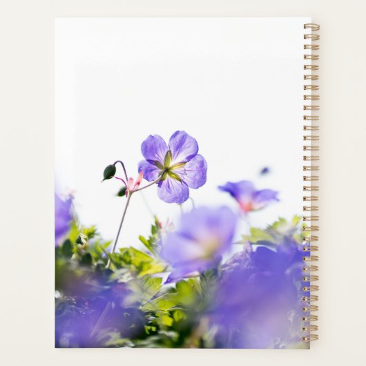 Blue Wildflower Dreams Planner (Dos)