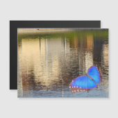 Blue Wing Reflection Magnetische Uitnodiging (Voorkant / Achterkant)