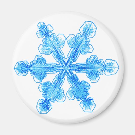 Blue Winter Snowflake Magneet (Voorkant)