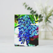Blue Wisteria Briefkaart (Staand voorkant)