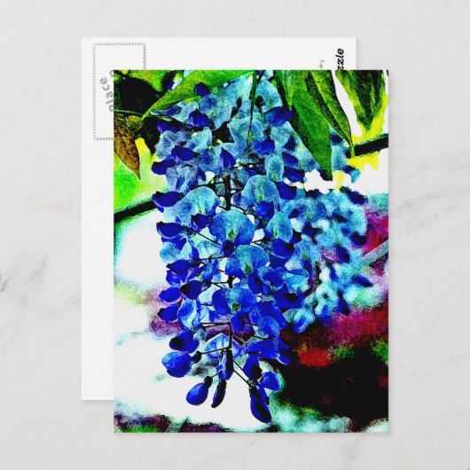 Blue Wisteria Briefkaart (Voorkant / Achterkant)
