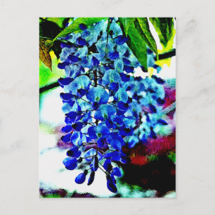 Blue Wisteria Briefkaart