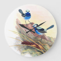 Blue Wren Birds Wildlife Animals Flowers