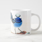 Blue Wren Birds Wildlife Animals Jumbo Mok (Rechts)