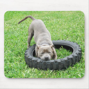 Blue Young Staffordshire Bull Terrier Muismat