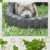 Blue Young Staffordshire Bull Terrier Theedoek (Gevouwen)