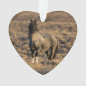 Blue Zeus bij Dawn Wild Hoofbeats Ornament (achterkant)