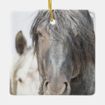 Blue Zeus en Iris Wild Hoofbeats Ornament