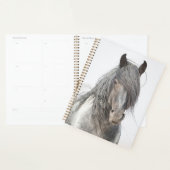 Blue Zeus Planner (Display)