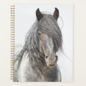 Blue Zeus Planner (Voorkant)