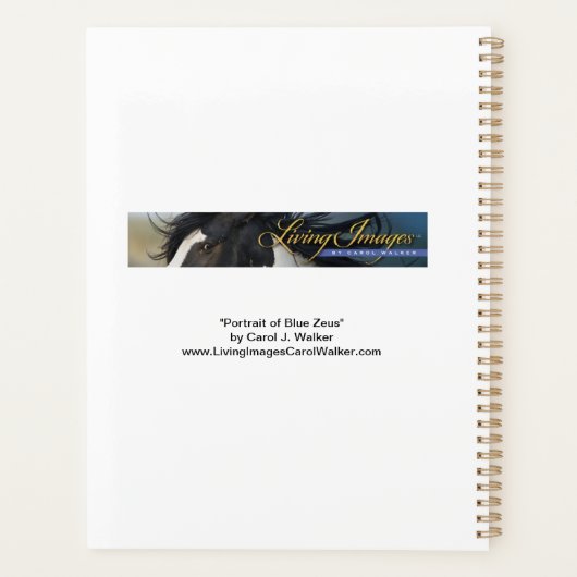 Blue Zeus Planner (Achterkant)