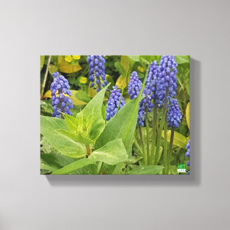 Bluebell Bloemen Kunst Fotoprint op Canvas Afdruk