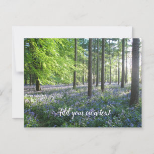 Bluebell-Bossen in Evening Sunshine - Gepersonalis Briefkaart