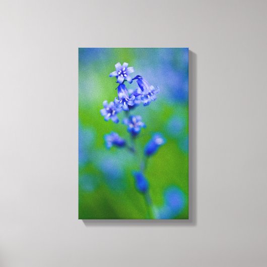 Bluebell flower Impression Canvas (Recto)