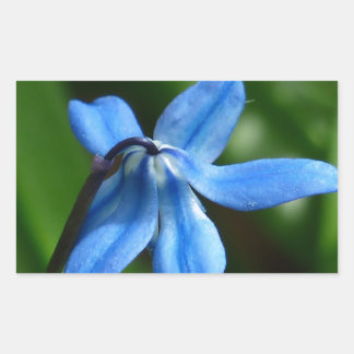 Bluebell Flower Rechthoekige Sticker