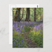 Bluebell Path Briefkaart (Voorkant / Achterkant)