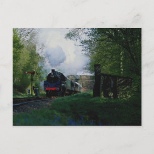 Bluebell Railway, West Sussex, U.K. Briefkaart
