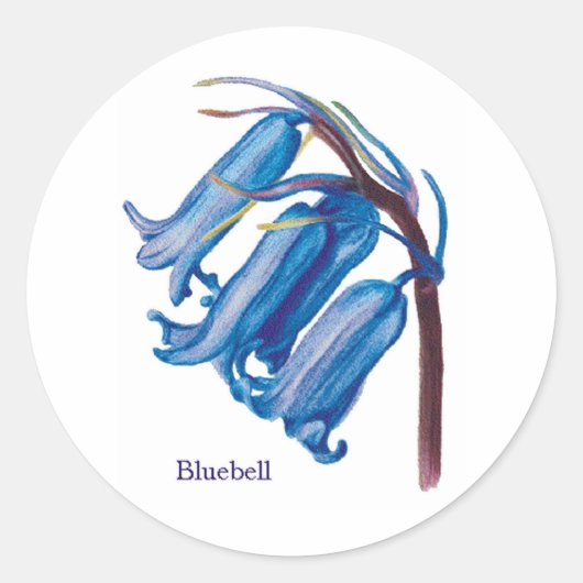 Bluebell Ronde Sticker (Voorkant)