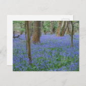 Bluebell Wood Briefkaart (Voorkant / Achterkant)