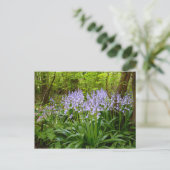 BLUEBELL WOOD BRIEFKAART (Staand voorkant)