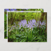 BLUEBELL WOOD BRIEFKAART (Voorkant / Achterkant)