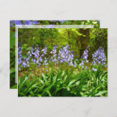 BLUEBELL WOOD ~ Briefkaart # 5 (Voorkant / Achterkant)