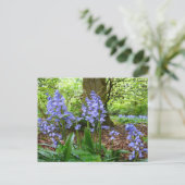 BLUEBELL WOOD ~ Carte postale (Debout devant)
