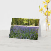 Bluebell Wood Folded Greetings Kaart (Gele Bloem)