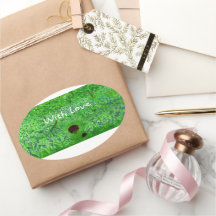 Bluebell Wood Hedégel